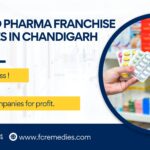 Top 10 PCD Pharma Franchise Companies in Chandigarh